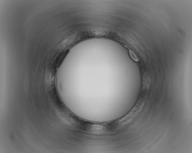 X0000111200176200908121118