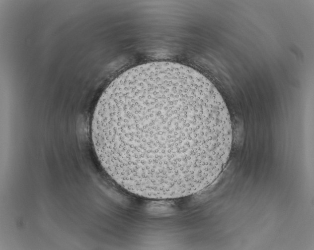 X0000111200179200908121118