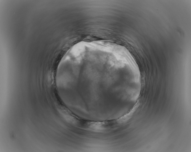 X0000111200182200908121118