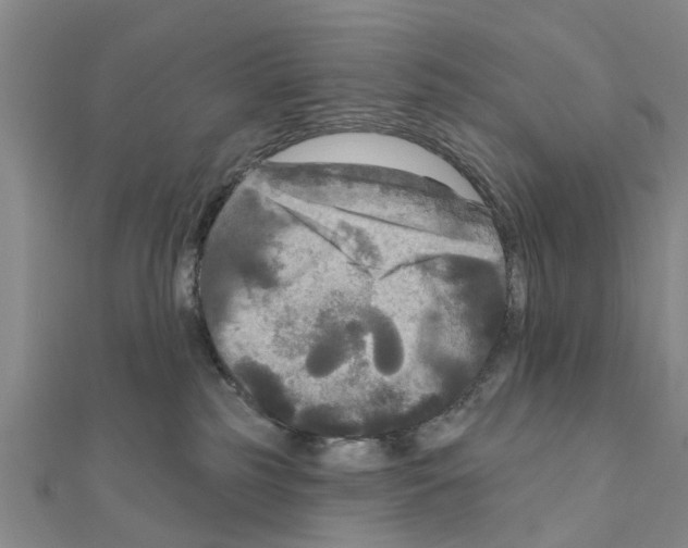 X0000111200185200908121118