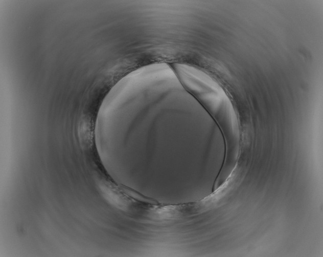 X0000111200186200908121118