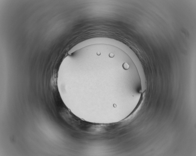 X0000111200190200908121118