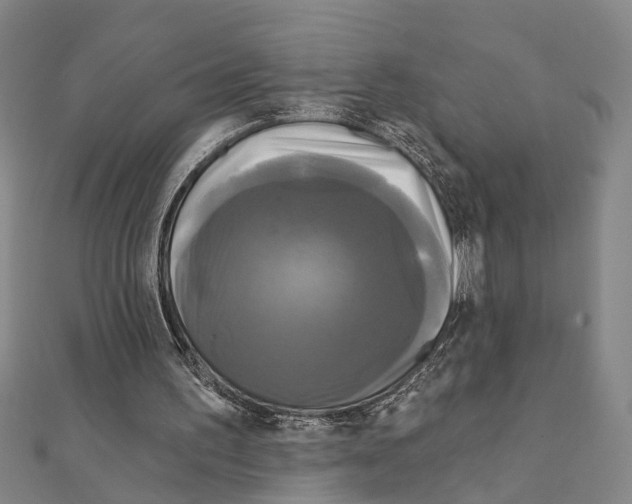 X0000111200195200908121117