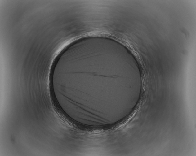 X0000111200196200908121117