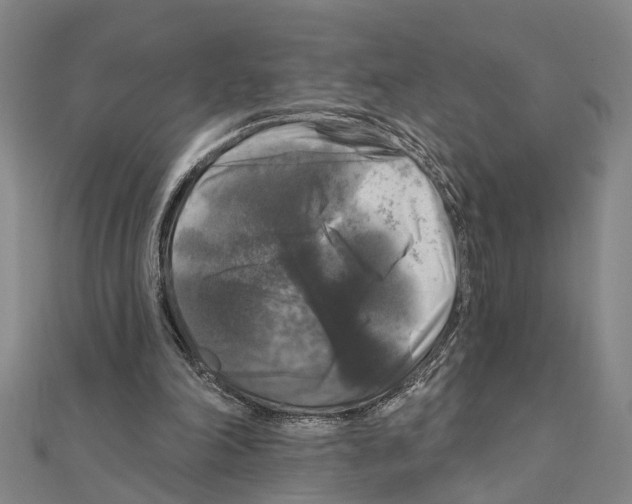 X0000111200198200908121117