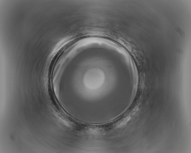 X0000111200199200908121117