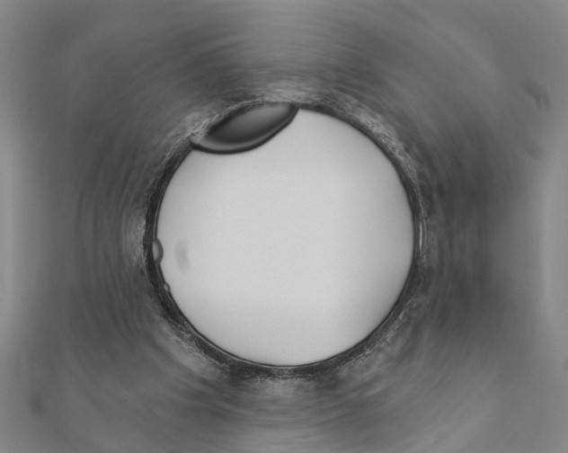 X0000111200201200908121117