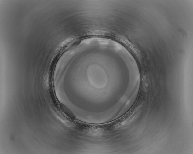 X0000111200203200908121117