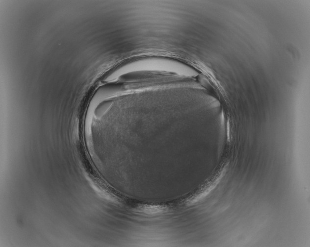 X0000111200205200908121117