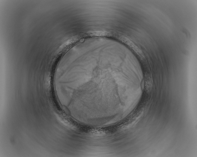 X0000111200207200908121117