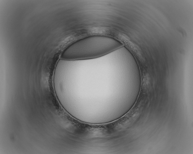 X0000111200209200908121117