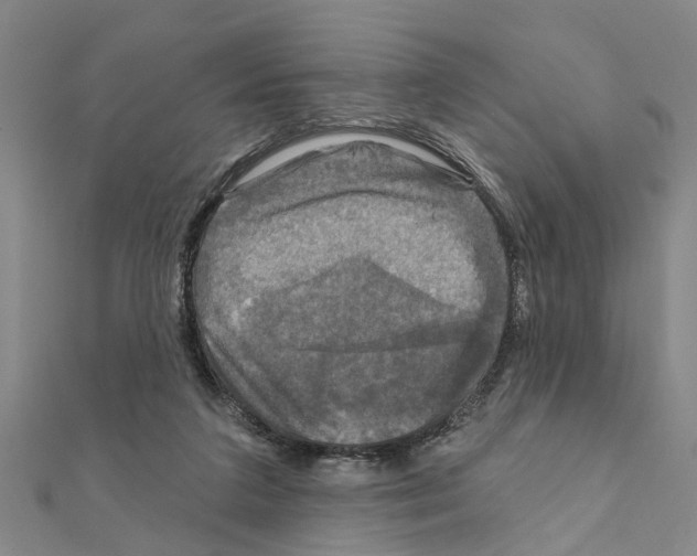 X0000111200211200908121117