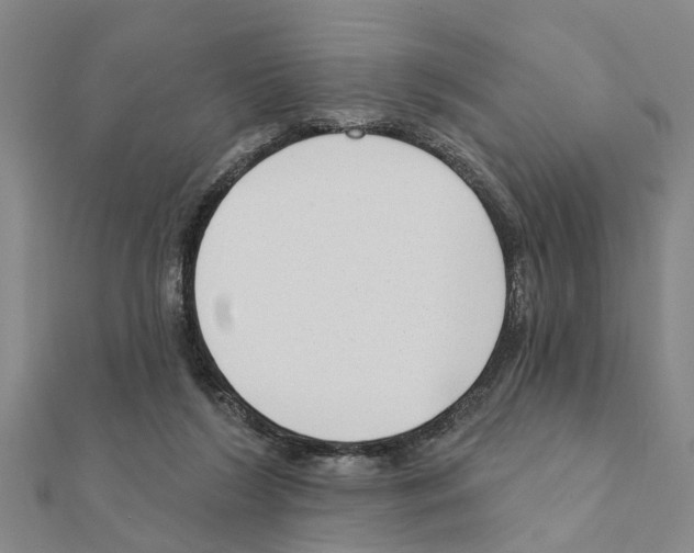 X0000111200212200908121117