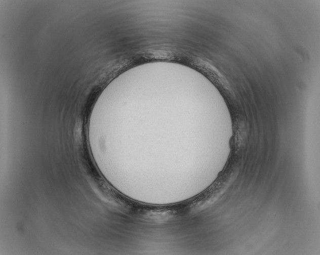 X0000111200213200908121117