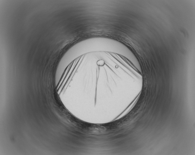 X0000111200215200908121117