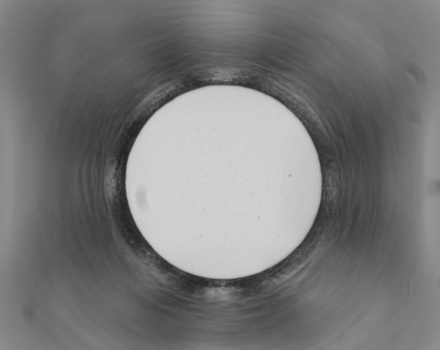 X0000111200216200908121117