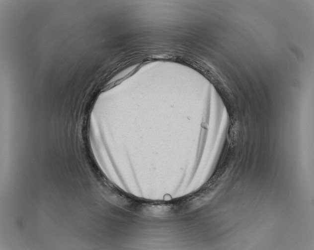 X0000111200217200908121117