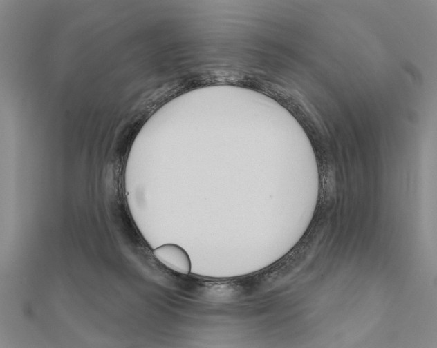 X0000111200218200908121117