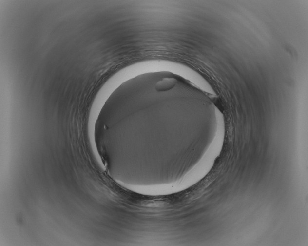 X0000111200219200908121117