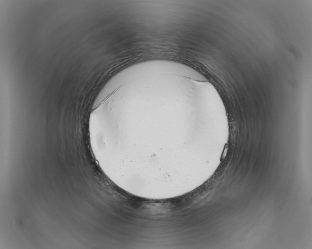 X0000111200221200908121117