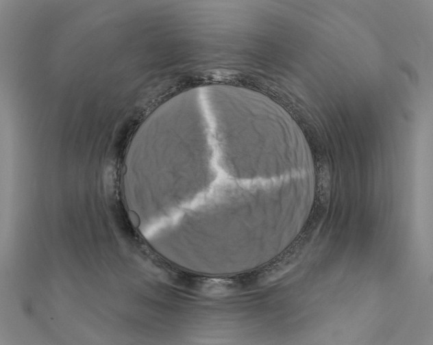 X0000111200222200908121117