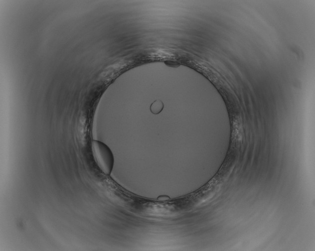 X0000111200223200908121117