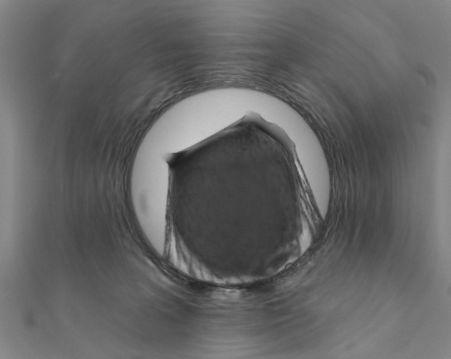 X0000111200227200908121117