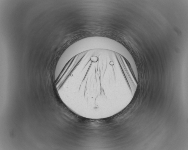 X0000111200229200908121117