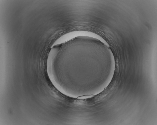 X0000111200231200908121117