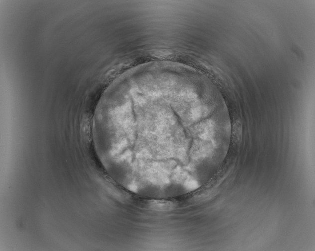 X0000111200234200908121117