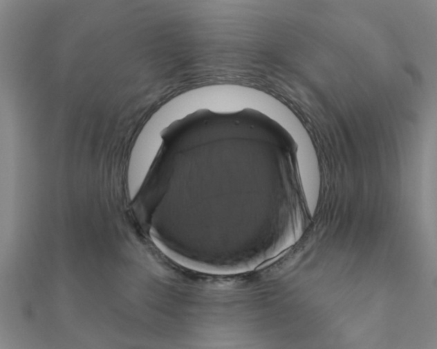 X0000111200235200908121117