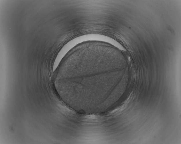 X0000111200237200908121117