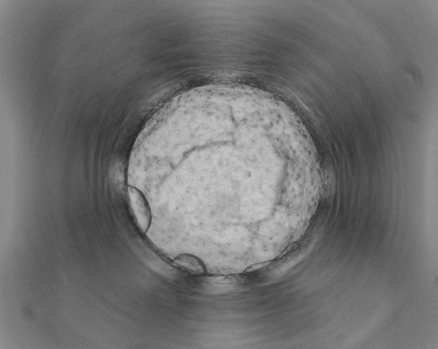 X0000111200238200908121117