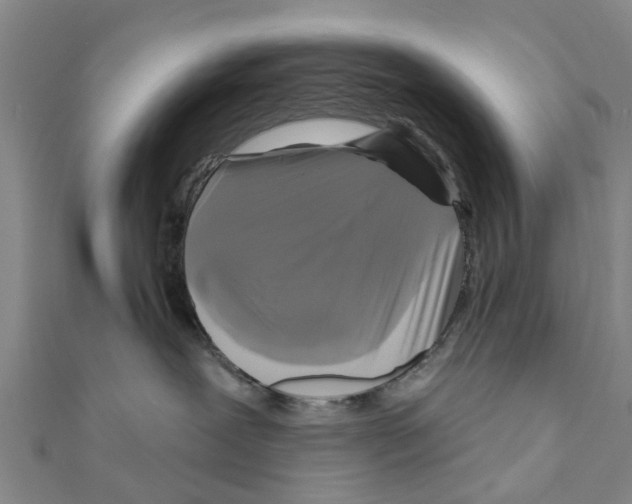 X0000111200239200908121117