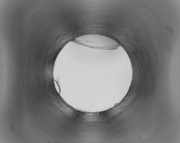 X0000111200240200908121117