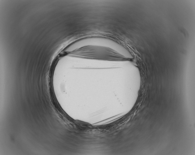 X0000111200244200908121116