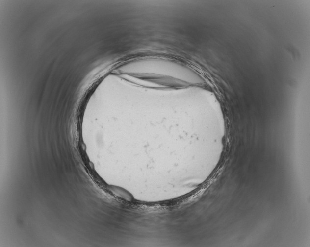 X0000111200245200908121116