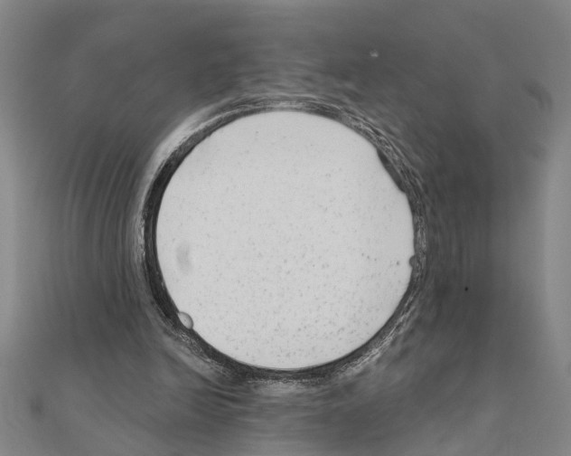 X0000111200246200908121116