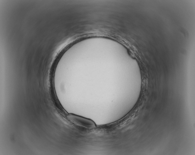 X0000111200248200908121116