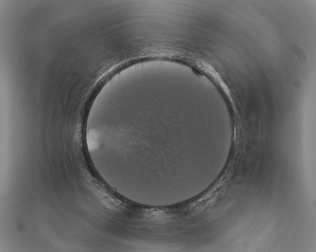 X0000111200249200908121116