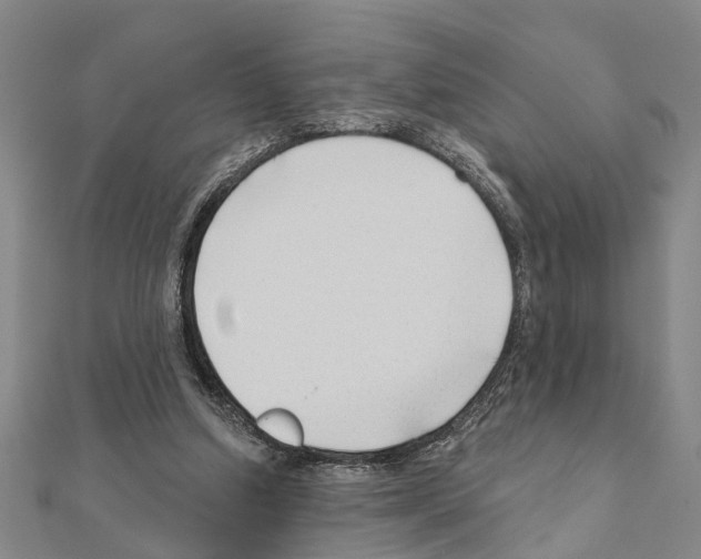 X0000111200250200908121116