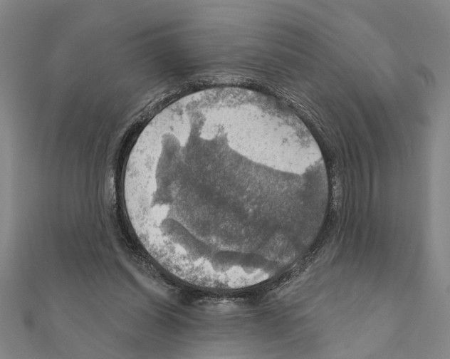 X0000111200254200908121116