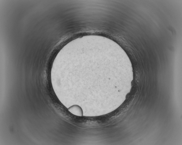 X0000111200256200908121116