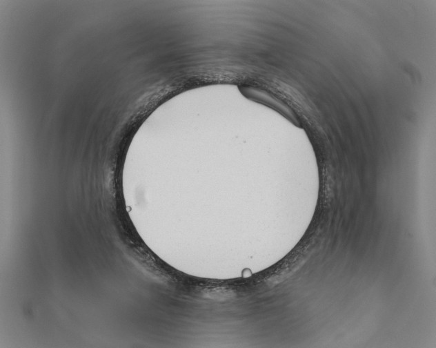 X0000111200258200908121117