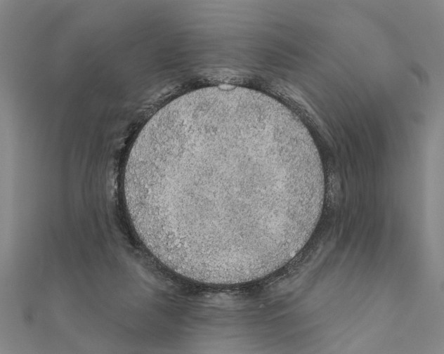 X0000111200259200908121117