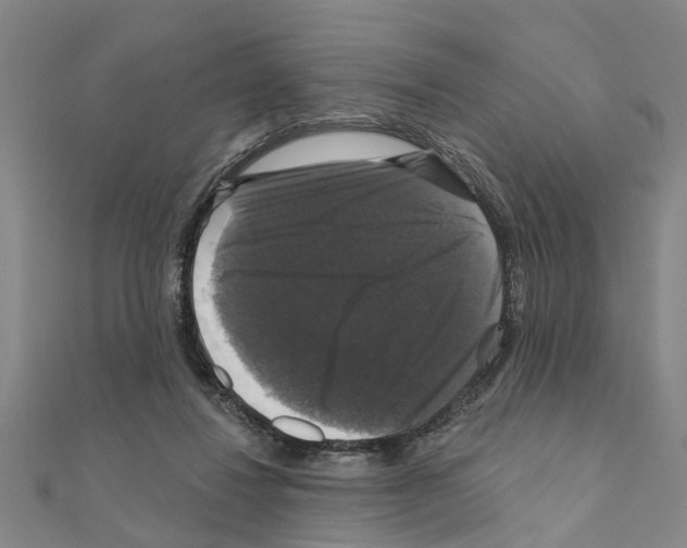 X0000111200260200908121117