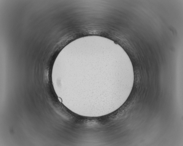 X0000111200262200908121117