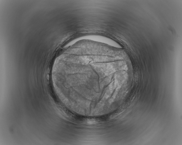 X0000111200264200908121117