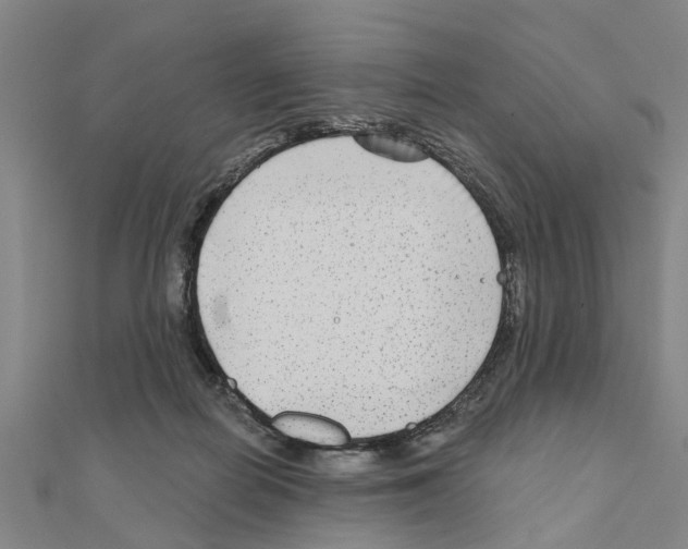 X0000111200266200908121117