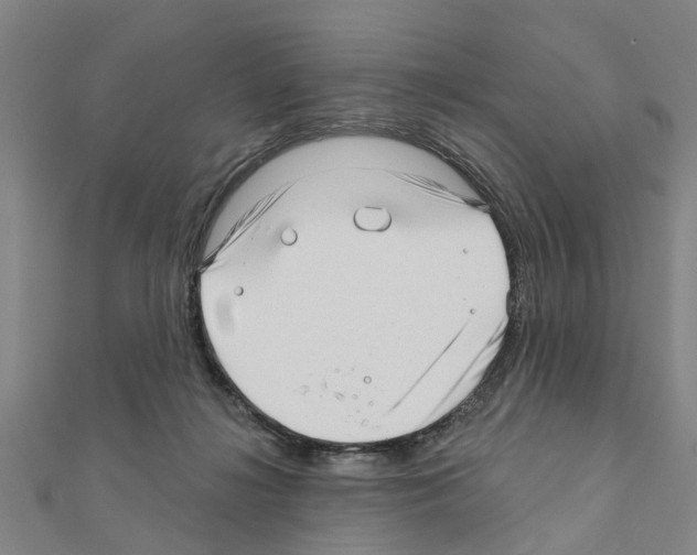 X0000111200268200908121117